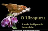 O Canto Do Uirapuru
