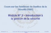 OACI SMS Module N° 3 – Introduction à La Gestion de La it 2008-11 (PF)