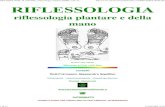 Riflessologia, Plantare, Riflessologia, Plantare,Reiki, Reiki, r...