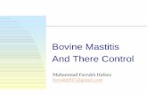 Bovine Mastitis and There Control