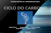 Ciclo Do Carbono ( Quimica ) 2