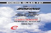 The Boeing 737-345 Simulator Checkride Survival Manual