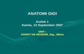 Anatomi Gigi part I