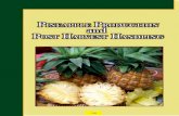 Pineapple Production and Post Harvest Handling - Guyana