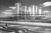 Ing Gas Caracteristicas y Comport a Mien To de Los Hidrocarburos