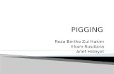 Presentasi Pigging