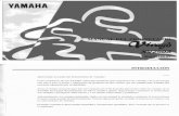 Yamaha XV250 S Virago Service Manual SPA by Mosue