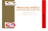Manual Hsec Rev 0, Proyecto Sg Enero 2011