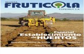 Revista Fruticola Plantacion
