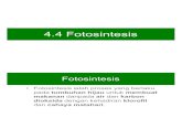 Sc F2 C4.4 Fotosintesis