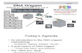 DNA Origami