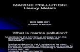 2-POLLUTION (Heavy Metals)
