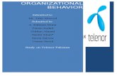 Organizational Behavior Project on Telenor