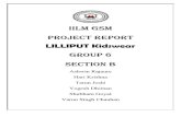Project Report-group 6-Section b