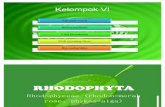 Rhodophytaa Fix