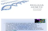 Reglajul Genetic