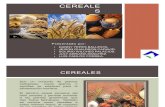cereales exposicion