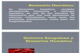 Química Sanguínea y Biometría Hemática (2)
