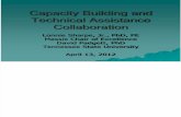 Capacity Building and Technical Assistance Collaboration by Lonnie Sharpe, Jr., PhD, PE