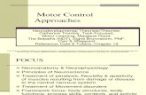 60923823 Motor Control Approaches