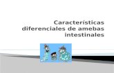 Características diferenciales de amebas intestinales