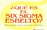 Que Es El Six Sigma Esbelto (Version Ligera)