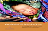 Opportunities for Africa's Newborns: Practical Data, Policy and Programmatic Support for Newborn Care in Africa, November 2006