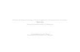 Thesis: Software Development Strategy: A Practical Application of Transaction Cost Economics