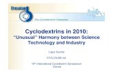Pps - Cyclodextrins in 2010 (Viena) - Unusual Harmony Between Science Technology and Industry