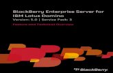 Blackberry Enterprise Server for IBM Lotus Domino-Feature and Technical Overview-T305802-1276566-0311103224-001-5.0.3-US