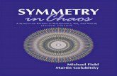 5186.Symmetry in Chaos. a Search for Pattern in Mathematics Art and Nature Second Edition by Michael Field