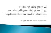 BN1151 Lecture on Nursing Care Plan and Nursing Diagnosis Planning Implementation and Evaluation 0
