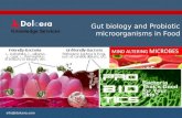 Gut Biology and Probiotic Microorganisms in Food - Patent and Technology Report - Key Players, Innovators and Industry Analysis
