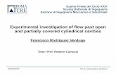 Rodriguez Verdugo (2012 PhD defence) - Experimental investigation of flow past open and partially covered cylindrical cavities