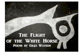 The Flight of the White Horse