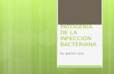 6.Patogenia de La Infeccion Bacteriana