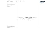 Informes SAP ERP Para Contabilidad (221) Junio 2012