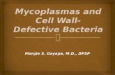 Mycoplasmas and Cell-Wall Defective Bacteria