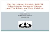 correlation between TORCH infection on pregnant women