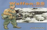 Concord Publication 6528 Waffen SS in Action