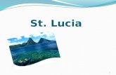 \\Brhm1\Shome\585623\Multimedia\St  Lucia Powerpoint