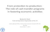 From protection to production: The role of cash transfer programs in fostering economic activities