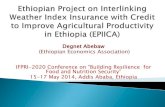 Ethiopian Project on Interlinking Weather Index Insurance with Credit to Improve Agricultural Productivity in Ethiopia