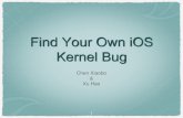 英文【Xu hao chen xiaobo】find your_own_ios_kernel_bug