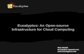 Eucalyptus: An Open-source Infrastructure for Cloud Computing