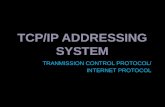 Basic Understanding about TCP/IP Addressing system