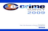 E Crime 2008 Survey