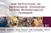 Some Reflections on Agricultural Innovation Systems Methodological Framework