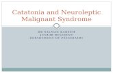 Catatonia and neuroleptic malignant syndrome