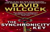 David Wilcock - The Syncronicity Key
